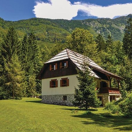 Chalet Primus Near Soca Gorge - Happy Rentals 외부 사진