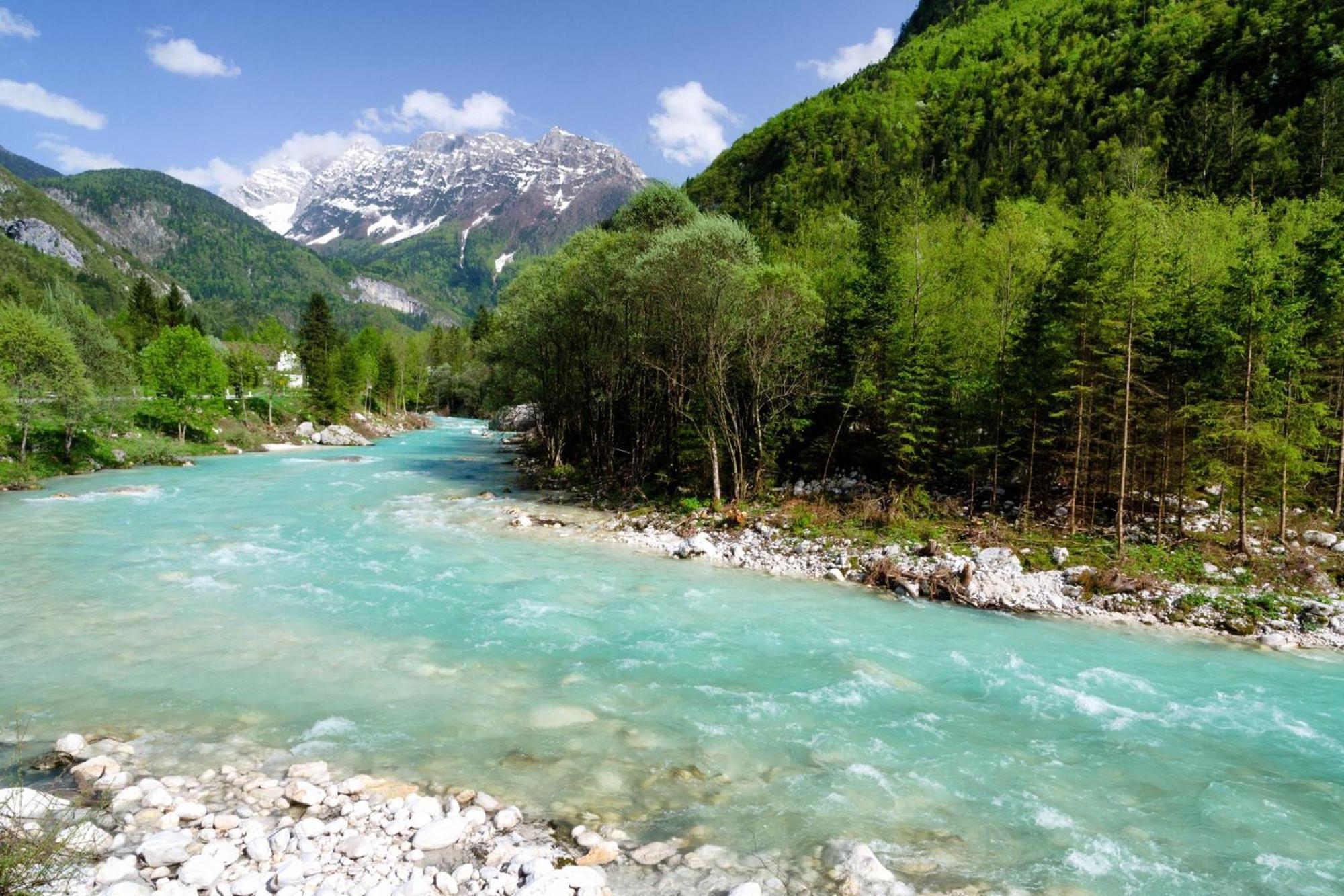 Chalet Primus Near Soca Gorge - Happy Rentals 외부 사진