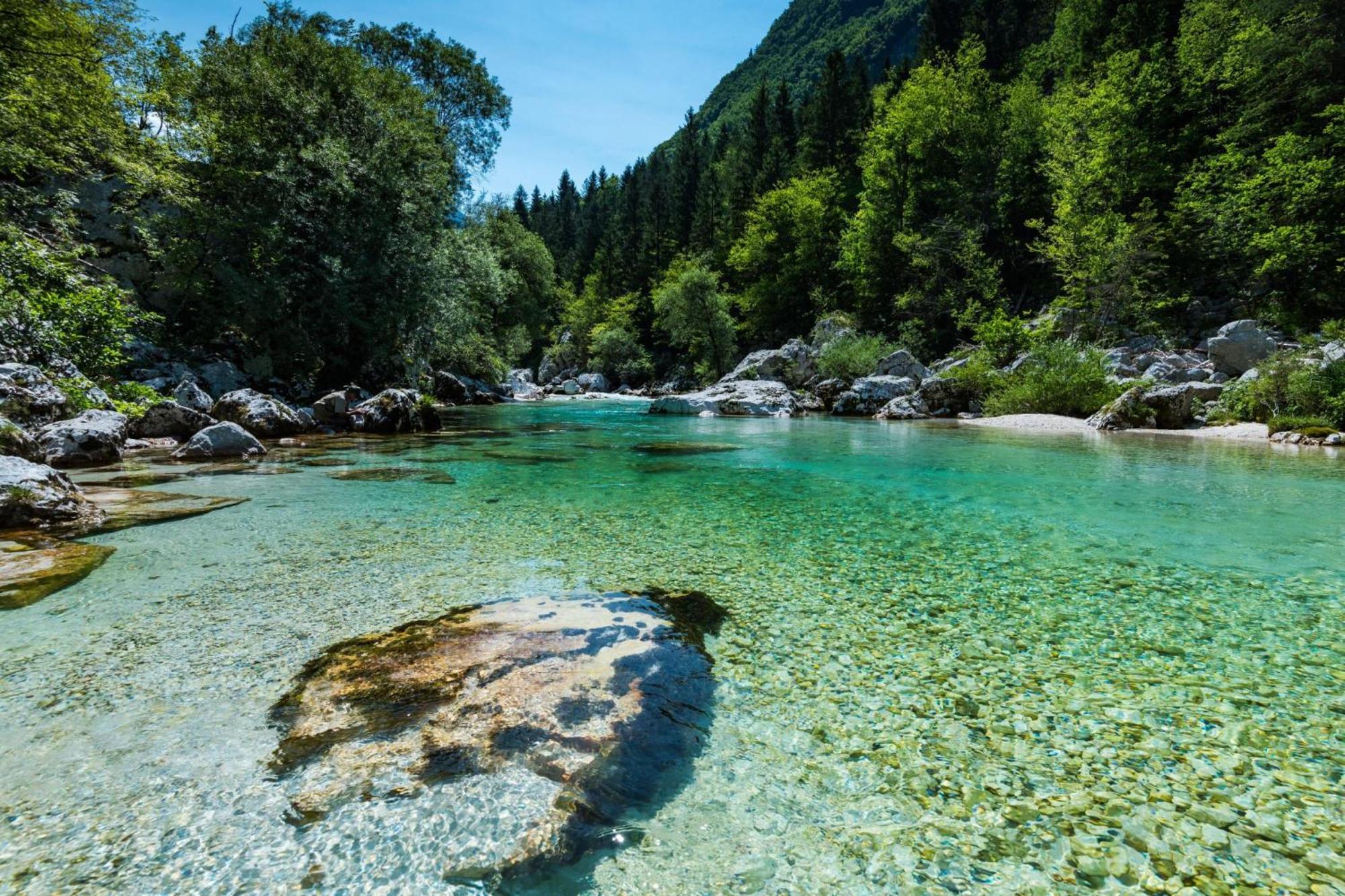 Chalet Primus Near Soca Gorge - Happy Rentals 외부 사진