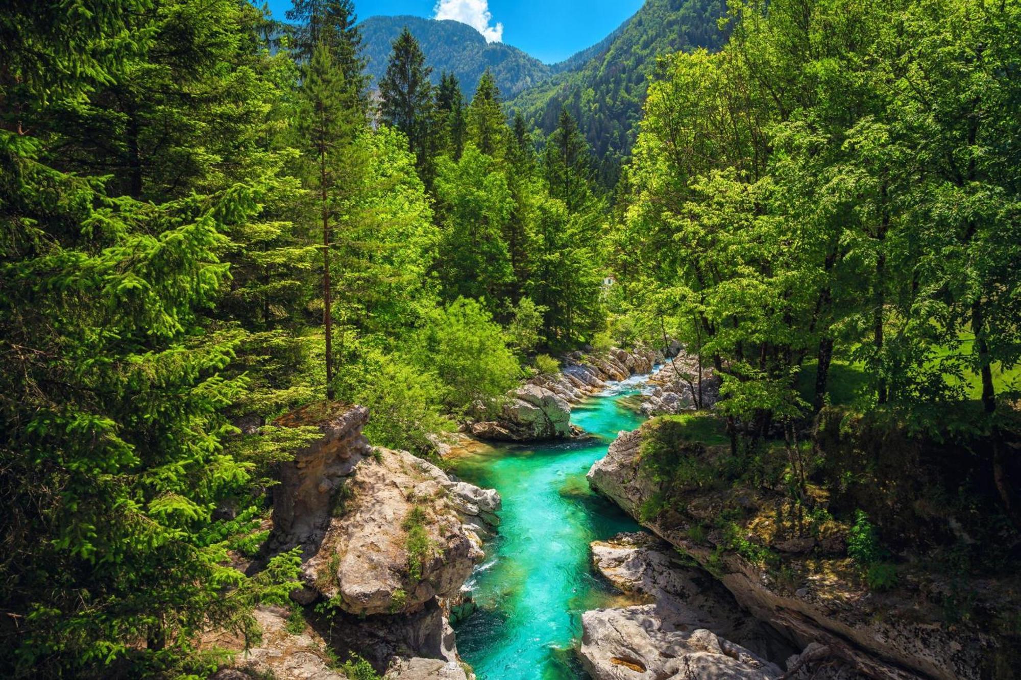 Chalet Primus Near Soca Gorge - Happy Rentals 외부 사진